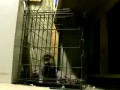 Просачиваемся сквозь клетку