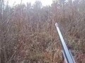 Deer kurwa