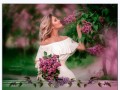 Как-расцветает-сирень-Рамочка_01