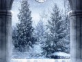 0_687ce_69436819_XL