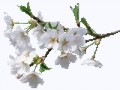 1691831BUNRPDuK