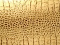 reptilii