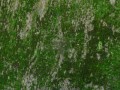 httpst3ftcdnnetjpg01840742500_F_184074292_gNQhrbx7ogD