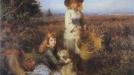 Among the fernes