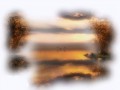 11_8