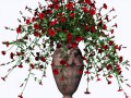 potted_petunia_red02_by_brokenwing3dstock-d733bco