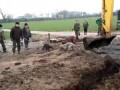 Уничтожение вредителей,собаки ловят крыс