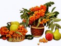 Дары осени2а