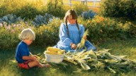 Corn On The Cob