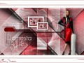 Demesta - 3