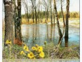 Апрель---лета-флюгер_01