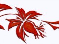 _2_arnusha