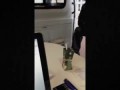 Начальник службы безопасности Росгосстрах угрожает расправой