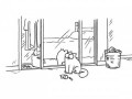 Mirror Mirror - Simon's Cat