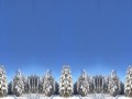 в снегу2св исправ