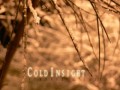 Cold Insight - The Light We Are