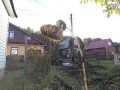Синица и подсолнух (замедленная съёмка)