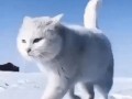 -1