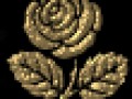 _5_arnusha