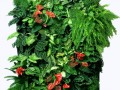 klipartz.com (12)
