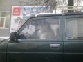 водитель-собака2