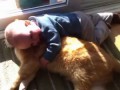 Дети и животные