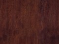 _derevo_2_yapfiles.ru