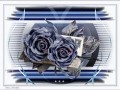 Bluebird - 2