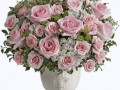 image1692640_yapfiles.ru