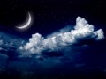 moonlight-moon-night-nature-6153