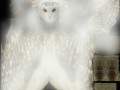 Owl_1_yapfiles.ru