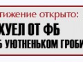26 копия