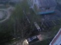 Медведь в Нижневартовске
