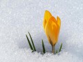0_f5c83_8ce3a30c_orig