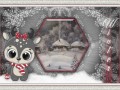 11.01.2023 WINTER