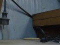 мышка-воришка