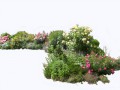 1flowered