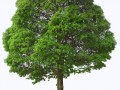 klipartz.com (30)