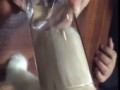 котик пьет