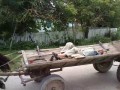 Автопилот