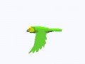 bird2