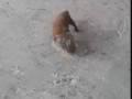 Мама всегда рядом