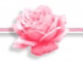 _3_arnusha