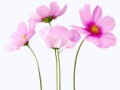 image054-2-936x720