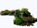 1flowered-1