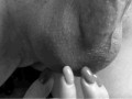 tumblr_nvpvgiIVhP1ua9e1ho1_400