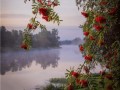 -имени-1_01