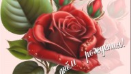 -ЖЕНИ(SWET5)_01