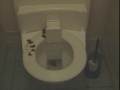 JackassPooSeat
