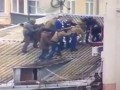 Как арестовывали Саакашвили...
